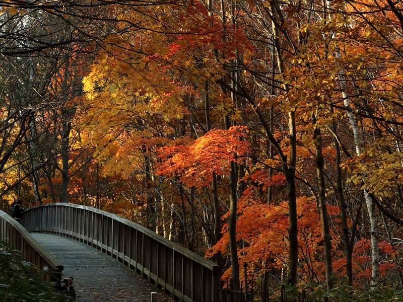 町内会館 平岡公園町内会のウェブサイト